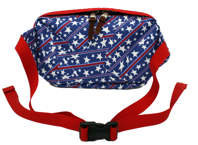 TRANSFER WAIST PACK