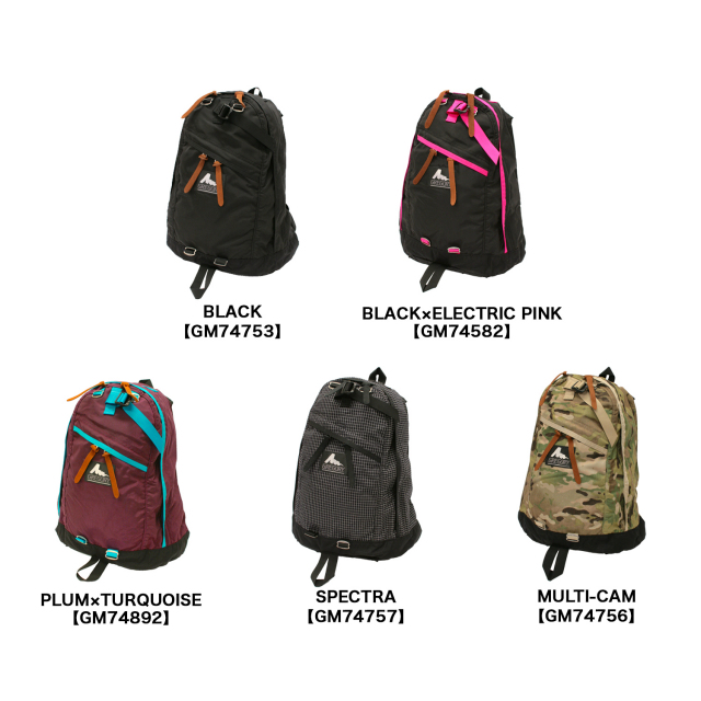 GREGORY DAY PACK